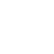 Vision Icon